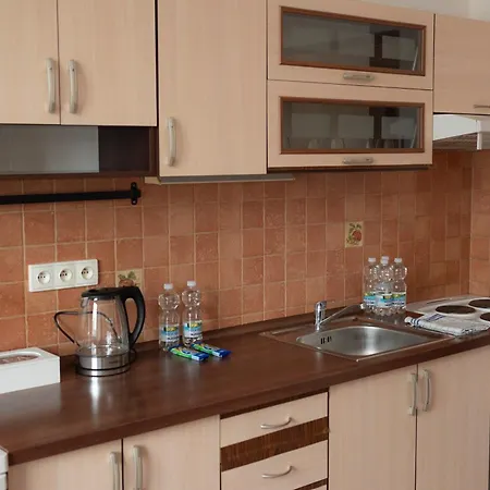 Apartment Bodenbach